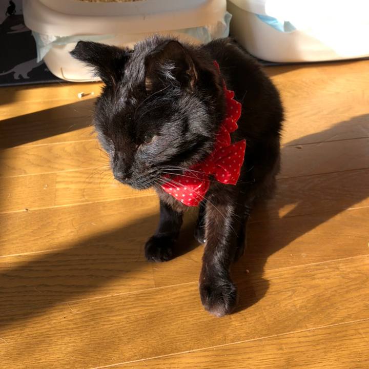 1e43d827 9f3d 49be 8302 ad5654797000 1558649238666