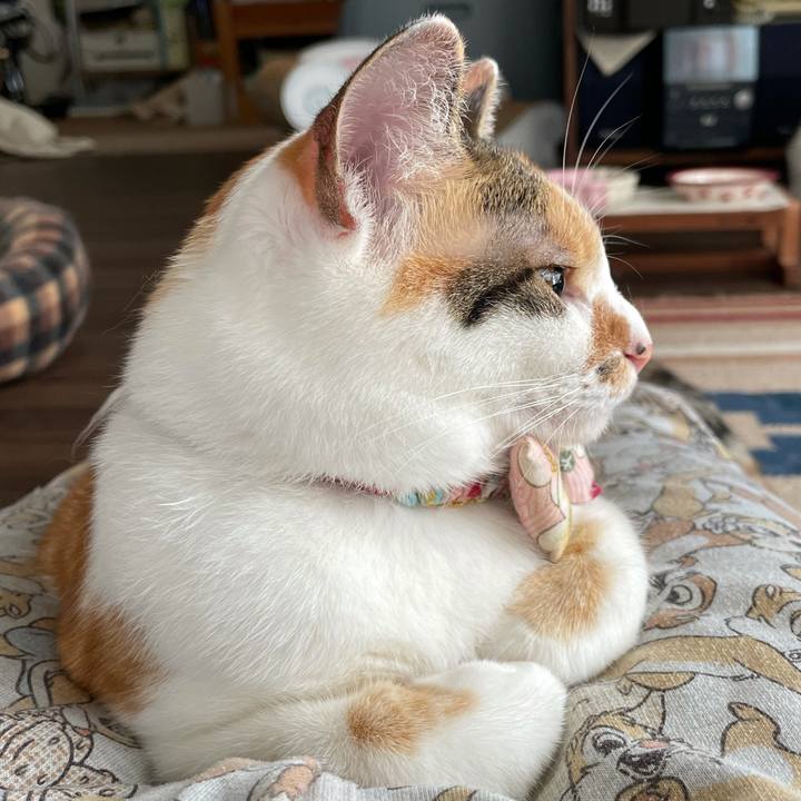 1e43fc36 7170 4b31 84cb b06cd3496ba4 1629243085069