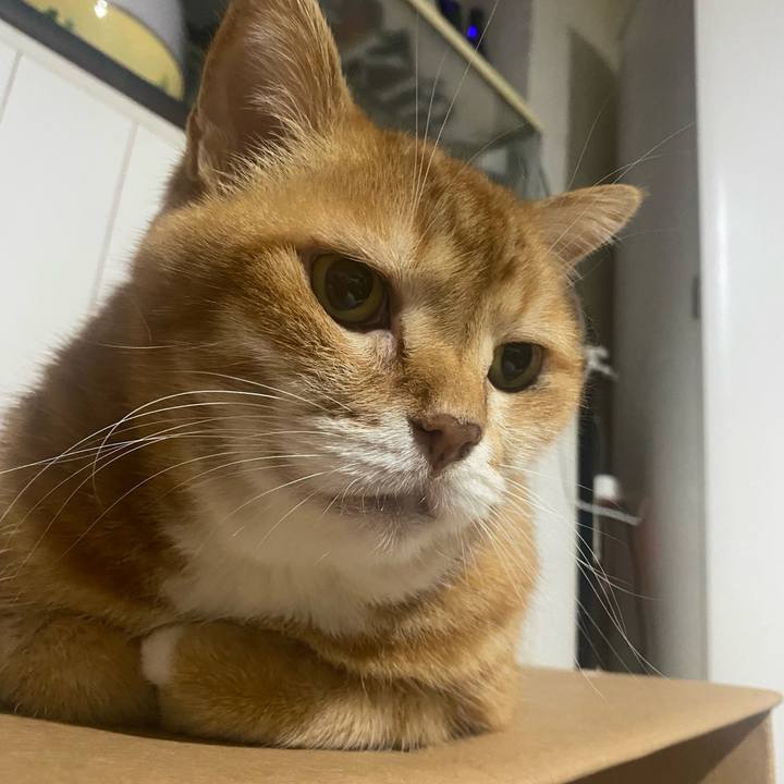 1e446649 ec34 4939 b49e 493c8284c760 1718117104273