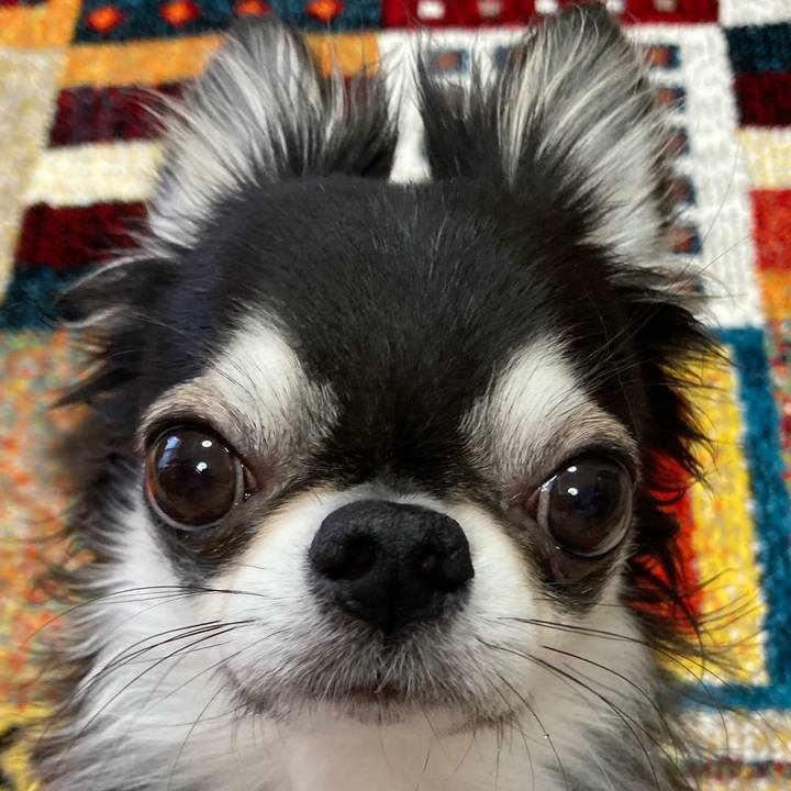 1e446f77 5688 47a3 b654 e6dbfa53651e 1681599592730