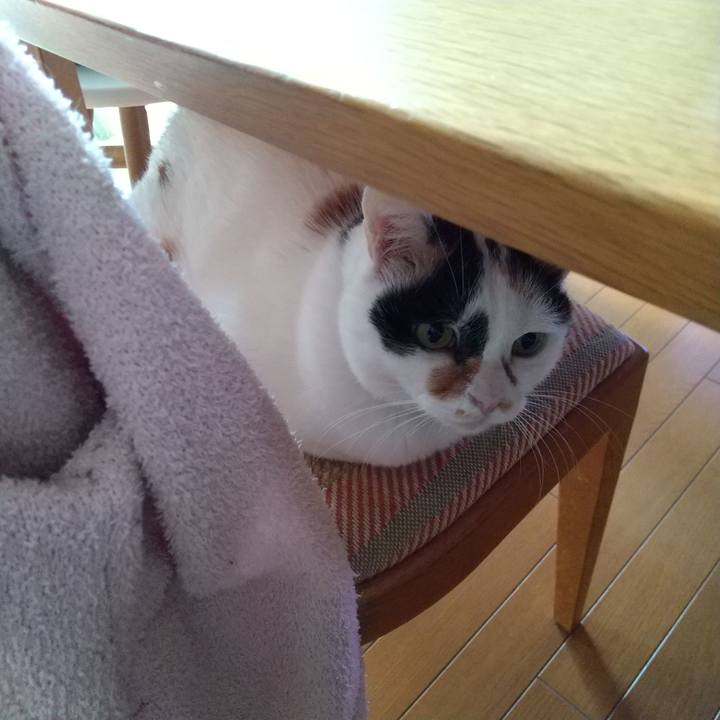 1e448644 b69b 4fe1 b945 b549faad901b 1610003203972