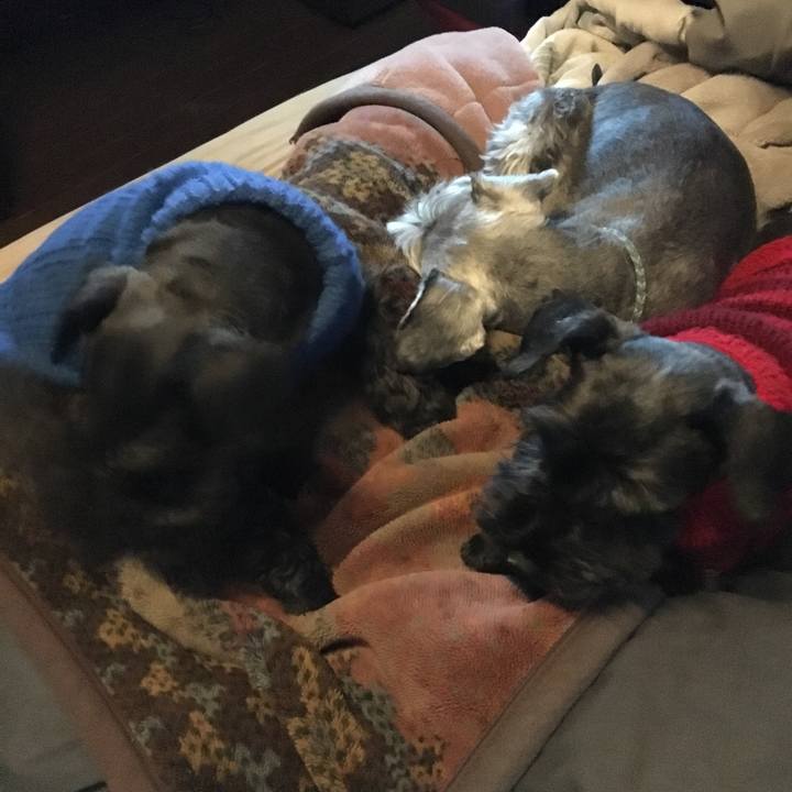 1e44a20e f783 4df0 828d 3d48744b4503 1548505804549