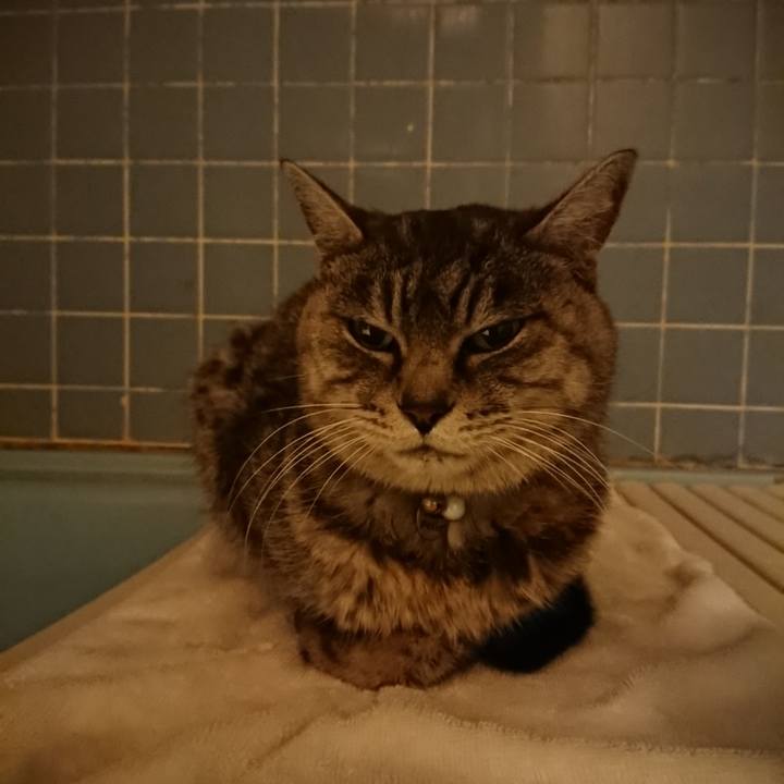 1e4506d8 61ee 4ba2 9a50 cb08ff3fa0ab 1576836184548