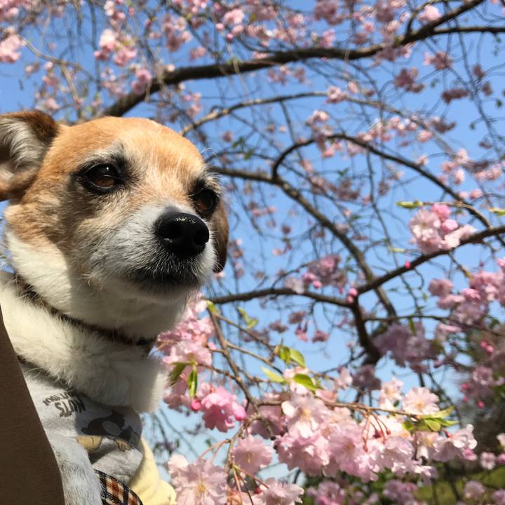 1e451938 9293 44a1 9ccc 3762c71c8ba2 1585895710037