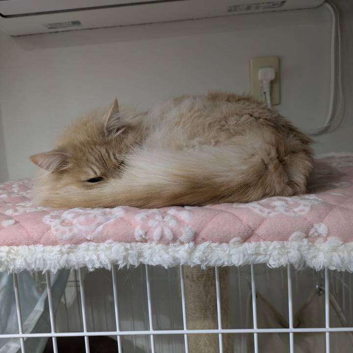 1e4520e1 5775 4272 9c04 ca93b5a761b1 1775008522908