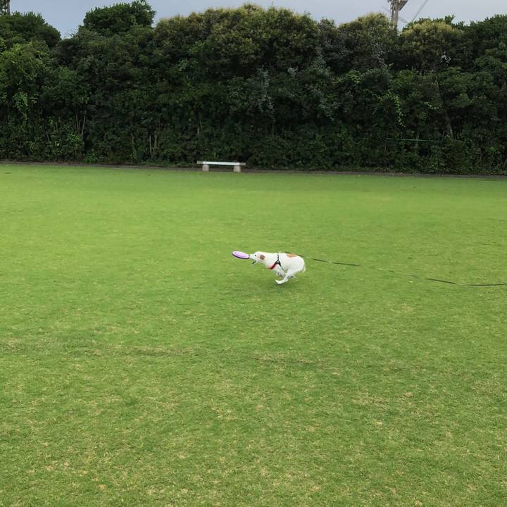 1e452bcc c17d 4ed4 8c48 46ee7ffba12c 1530957469850