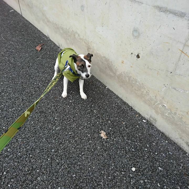 1e45334b ac57 40ba 9263 9b6bfe36f4b2 1510963192806