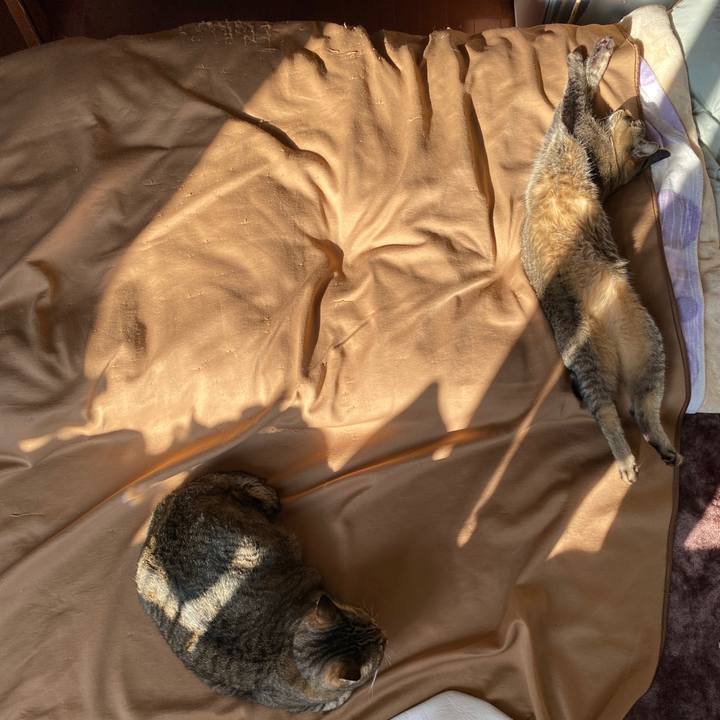 1e45467c 1c1d 4edc ab18 30c782c83367 1612593445399