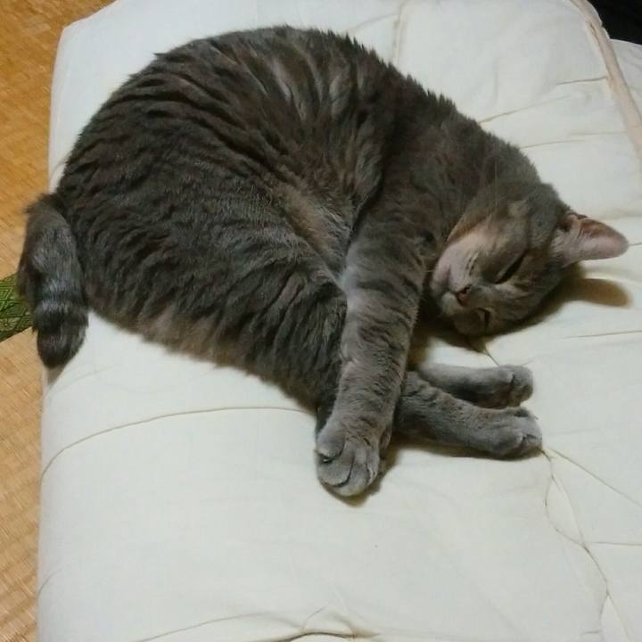 1e4569de ad49 401c a6c8 fc4b9cc45160 1569510857832