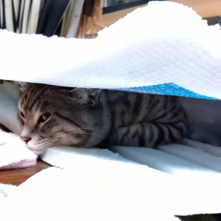 1e459305 16c9 49f2 81dc d1d3e9b51bbb 1668772925161