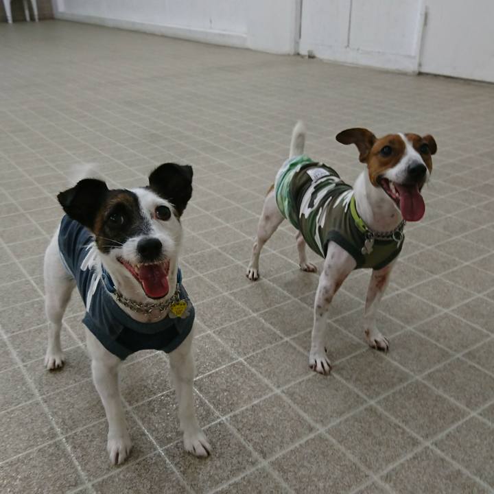 1e459506 d580 4d2d a38f aa676e35b2ab 1564218100220