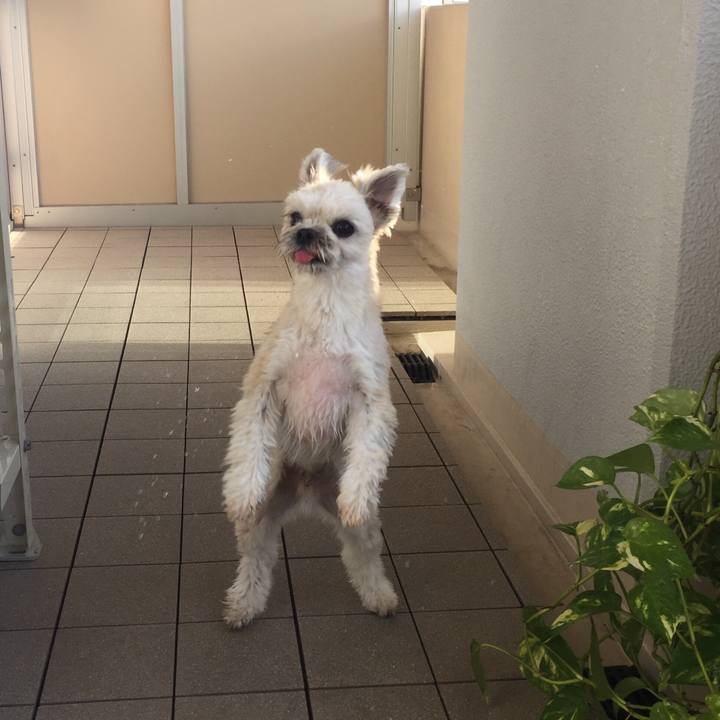 1e45db72 af98 4d99 9730 53515c979318 1543117744124