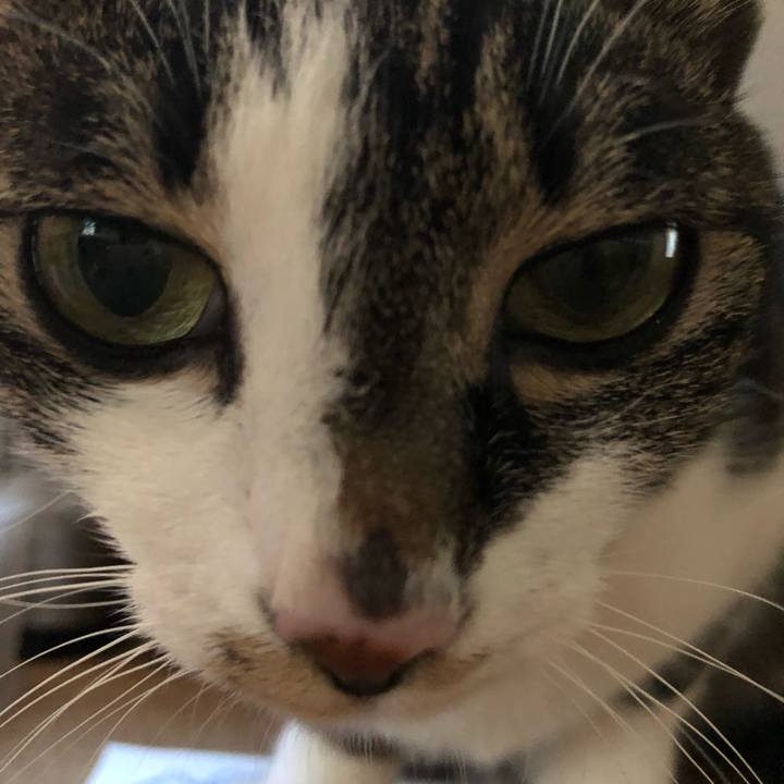 1e4606e2 e926 4145 9749 a65ae56cf9ad 1530301351162