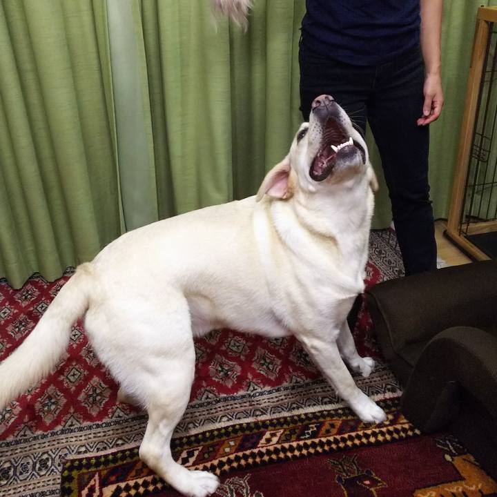 1e460ede 8543 4e51 a6da 4806ec23ab0d 1536579196524