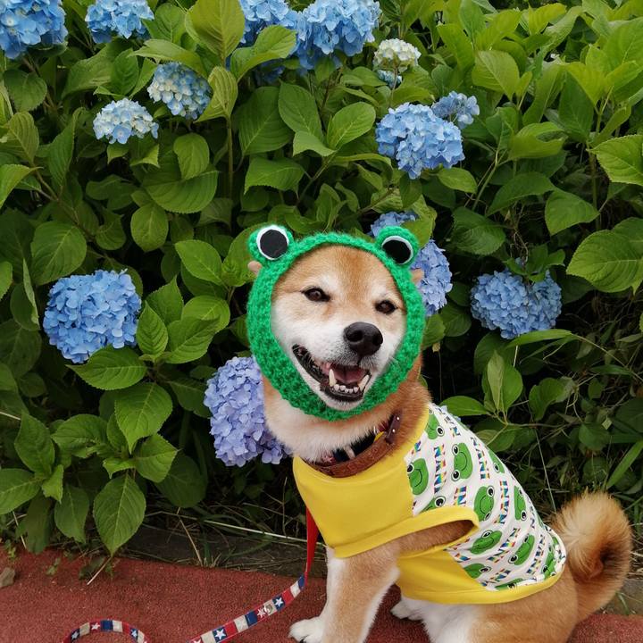 1e461eb6 b354 46b9 816b 8537d67f9ef6 1654593027274