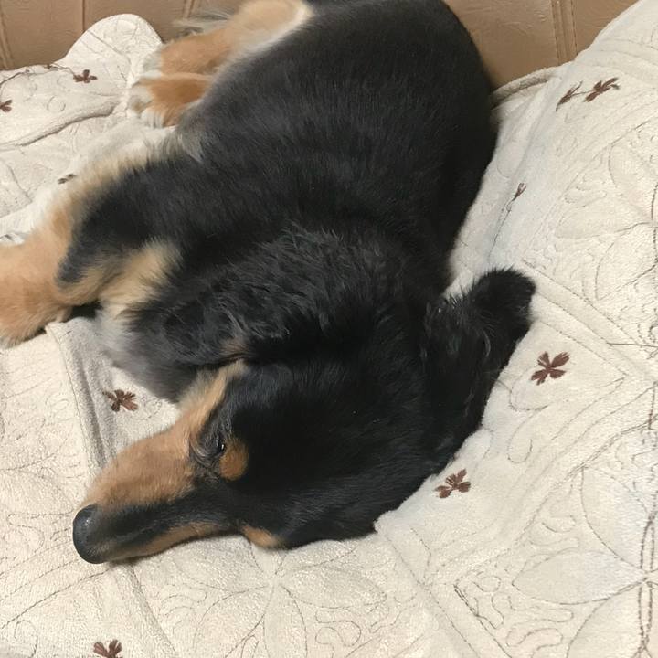 1e462524 24e4 4aa6 afea 8d711880490d 1526940430402