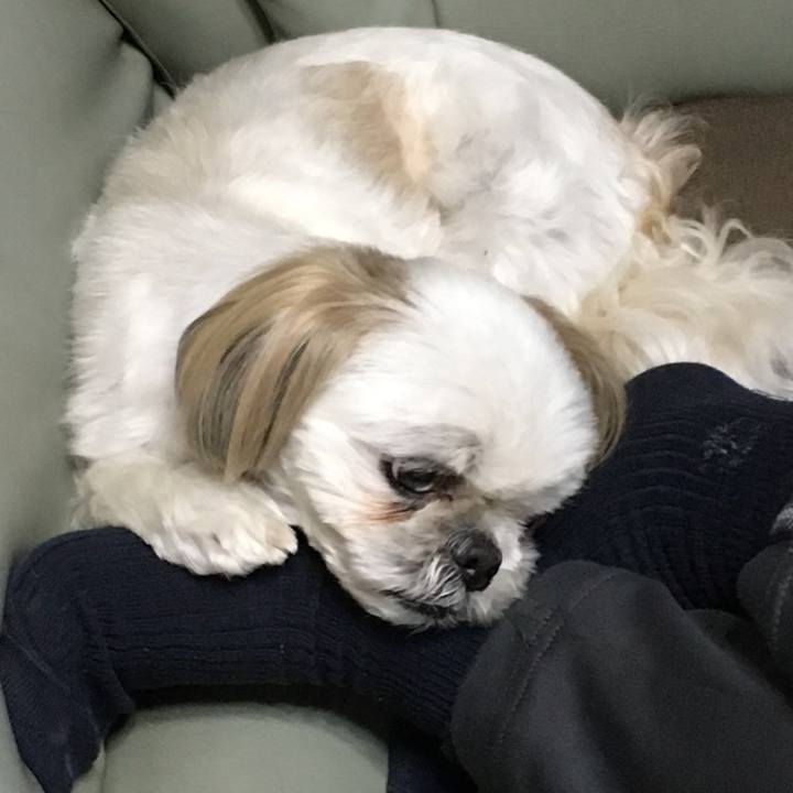 1e463396 ce9d 450e abd9 7a1e1f520b3b 1560343382394