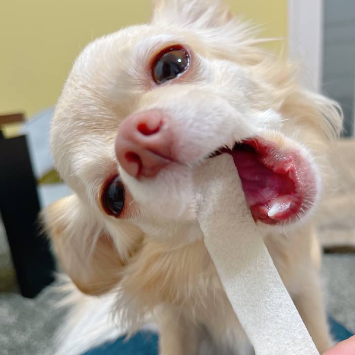 1e469bed a09d 48e2 8dc1 61e4932ccb2f 1651143988950