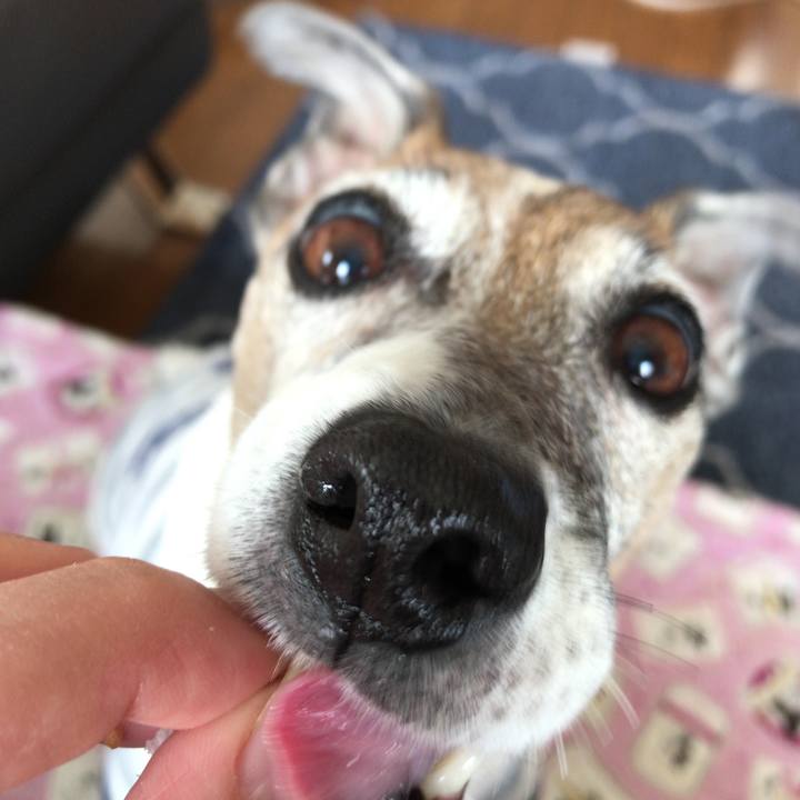 1e46c787 eb01 4ab0 b80c 31f0402dc2a0 1523501120873