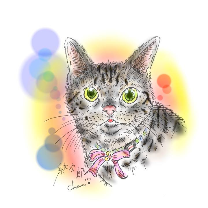 1e46dff3 0194 4eda 9c86 fe2fd2ba488b 1586797191956