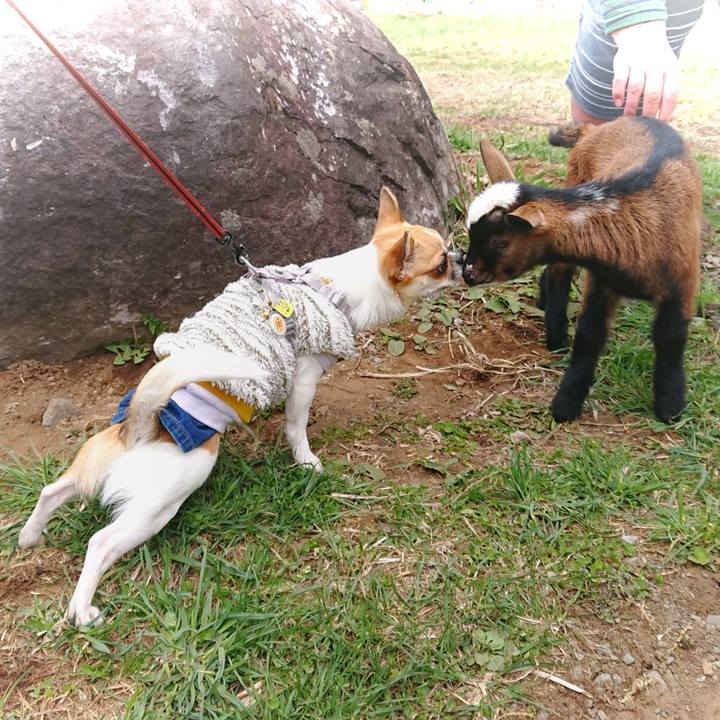 1e470364 368d 4739 889b 3d613e7d270f 1556590407312