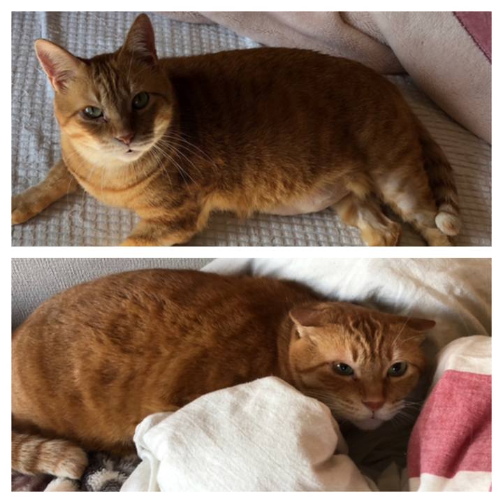 1e473bad 4018 4f32 a334 05f747173f1a 1652172620694