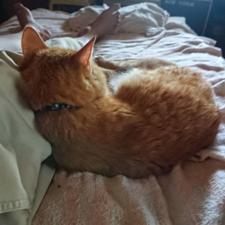 1e47568c 283f 4c68 8e21 f0181759866b 1659765049593