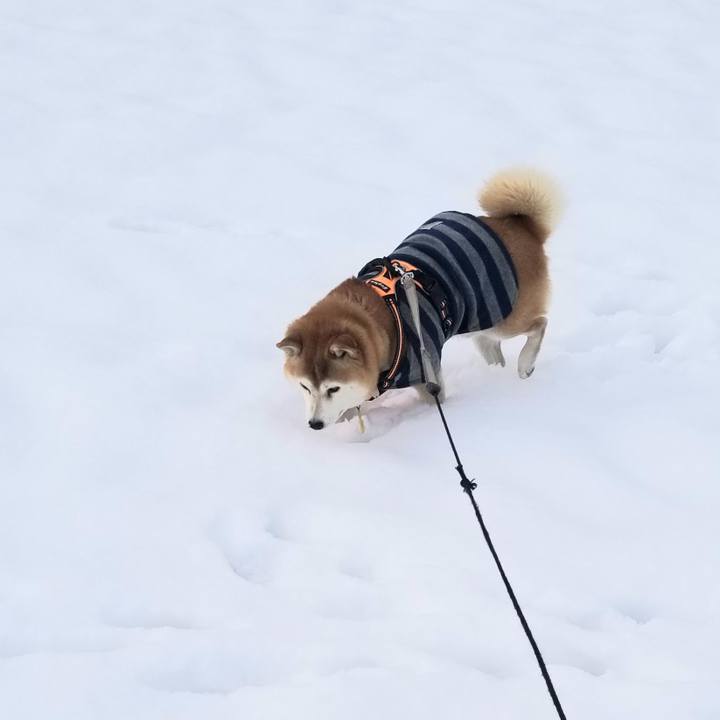 1e475d8e fc27 4b4c a81d 1f16985b35e0 1638072542122