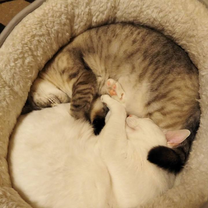 1e476f20 0051 490f 8668 04cc90e1edc0 1614340388669