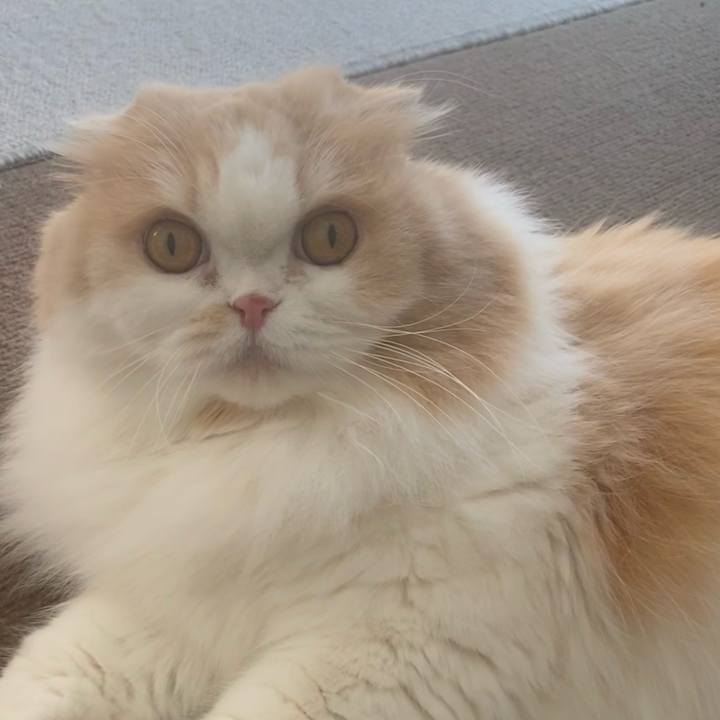 1e4773f4 d014 488f 80a9 d8bd27a3a704 1640961293570