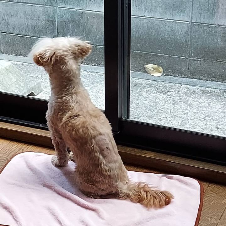 1e479231 29a7 4897 b609 38930af639f9 1742774028049