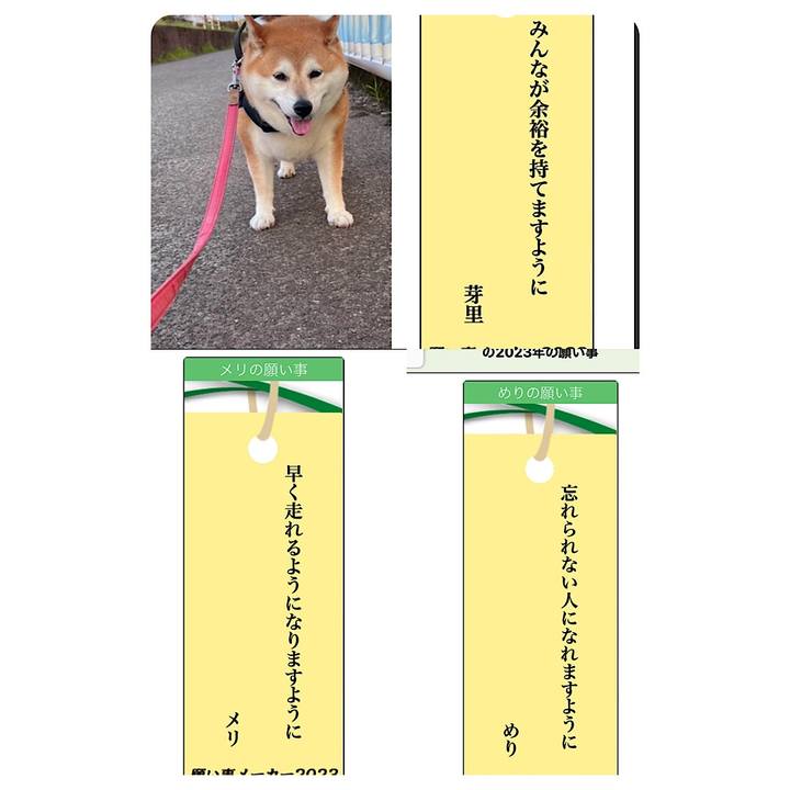 1e47b296 42dc 40b4 a0a0 f88bf13d4221 1688603026302