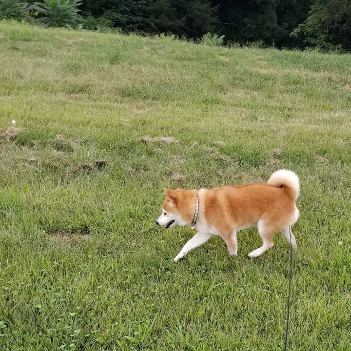 1e47d164 676d 4220 9f20 c73c1198906d 1600332398270