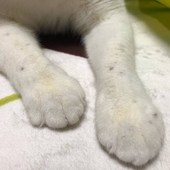 1e4802d1 efd8 4fe9 8d1f a1c0398d3de6 1546443933312