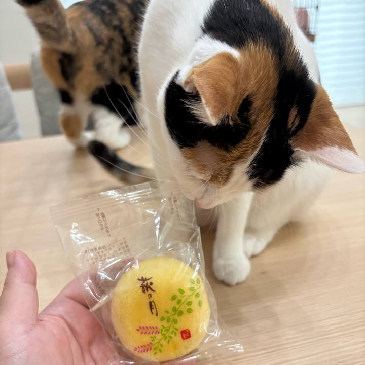 1e4843ca 1d92 446a 9e64 6bd3ec1e1aea 1775304300051