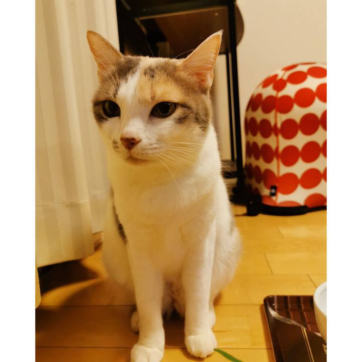 1e48834b 2aa0 4199 bf55 58f8fe88ecd0 1616076983132