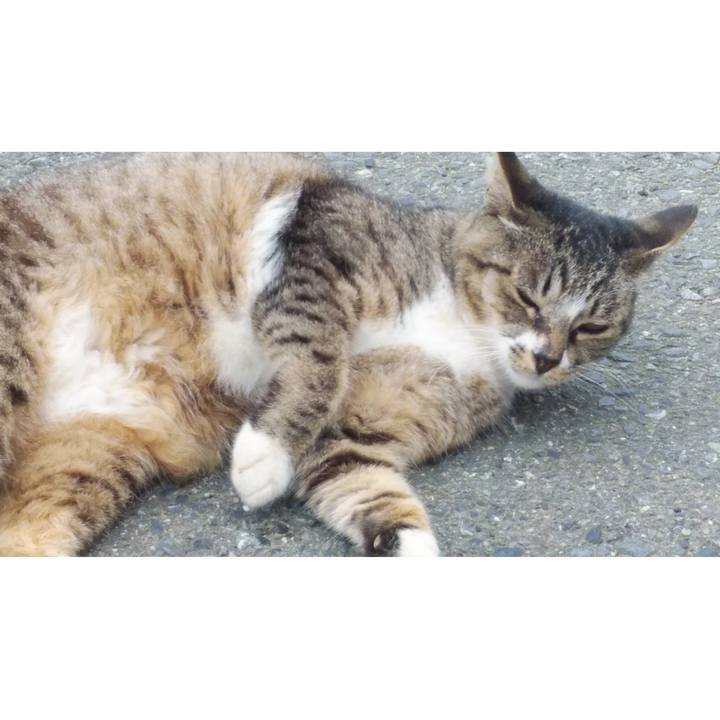 1e48a495 8459 4731 8c9a aabf38f13b88 1593129438232