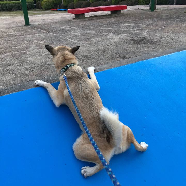 1e48d10b 95f1 4af1 b30a 3544dd9a60d8 1553601200144