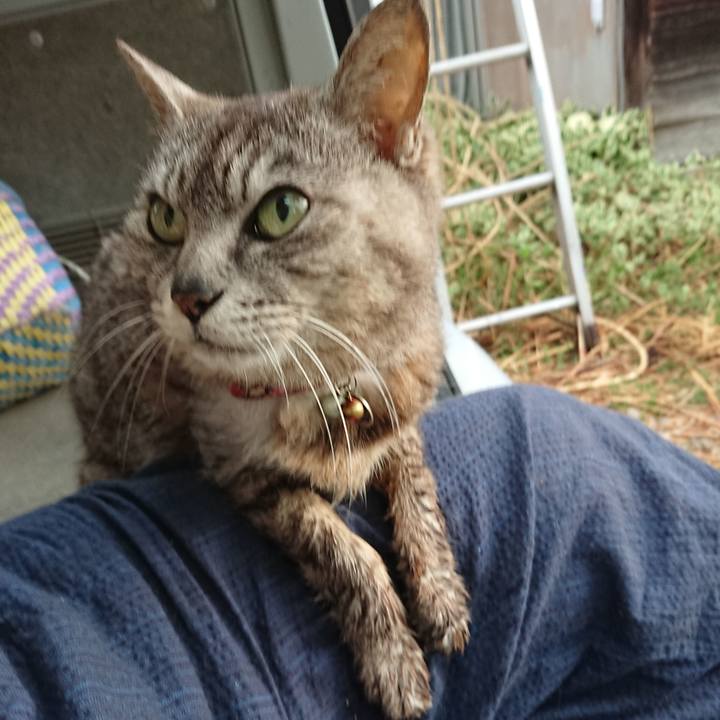 1e48dbbd ec01 4f3a a910 4c36eee264e8 1592857105798