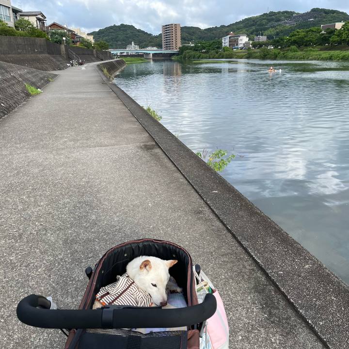 1e48e17f 2ad2 4096 9921 d3d0032bb841 1656404885945