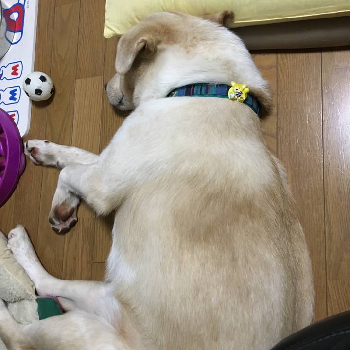 1e48fd60 1d73 4ead a1bd 002031ef1ef5 1530191818188