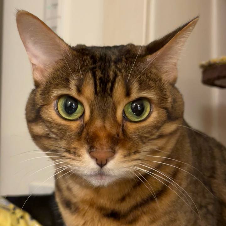 1e4938fa 852f 4e8c 98a9 3b72a786f84b 1634691204794