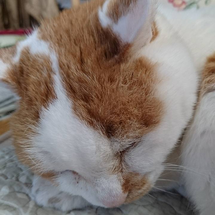 1e495b3a 91f1 4374 950d 628dfe825489 1556404629419