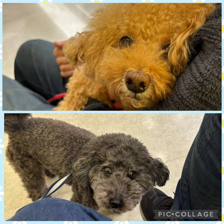 1e4977bd 51b2 469e adbc 28f74656f348 1762831847706