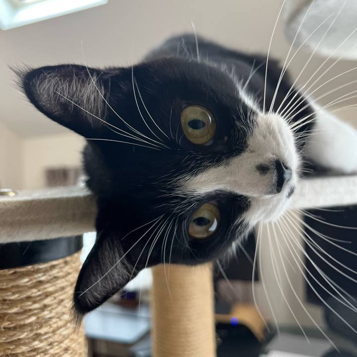 1e499975 3469 49c6 a286 d2a3e3760572 1727051103369