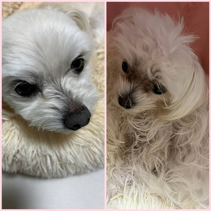 1e499c26 77d5 498f 804c baae9bf67f11 1714037867875