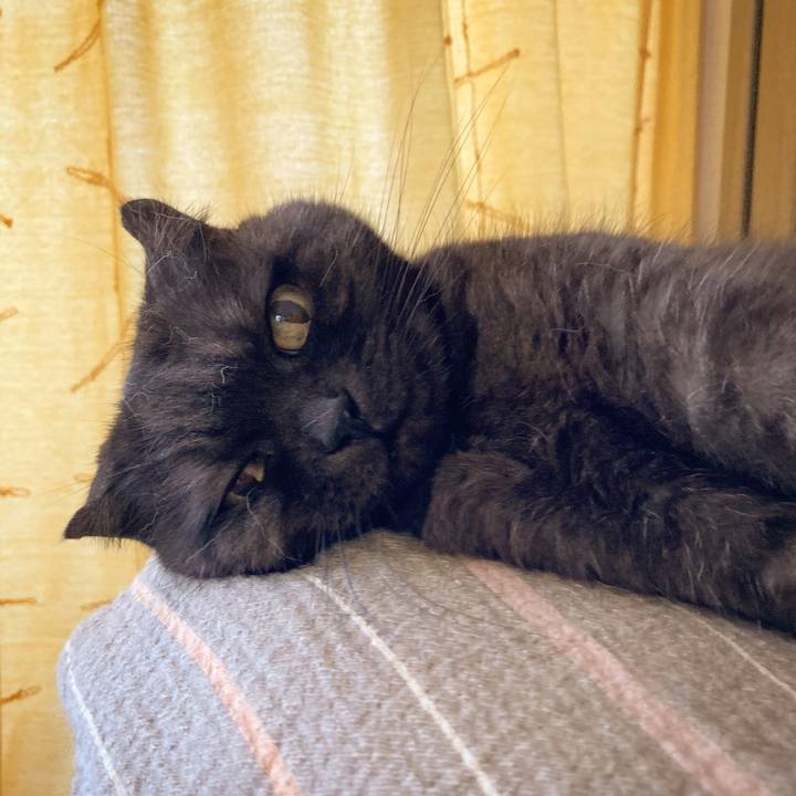 1e49acc7 a1cc 4d00 b5aa 02d05870a865 1595164467365