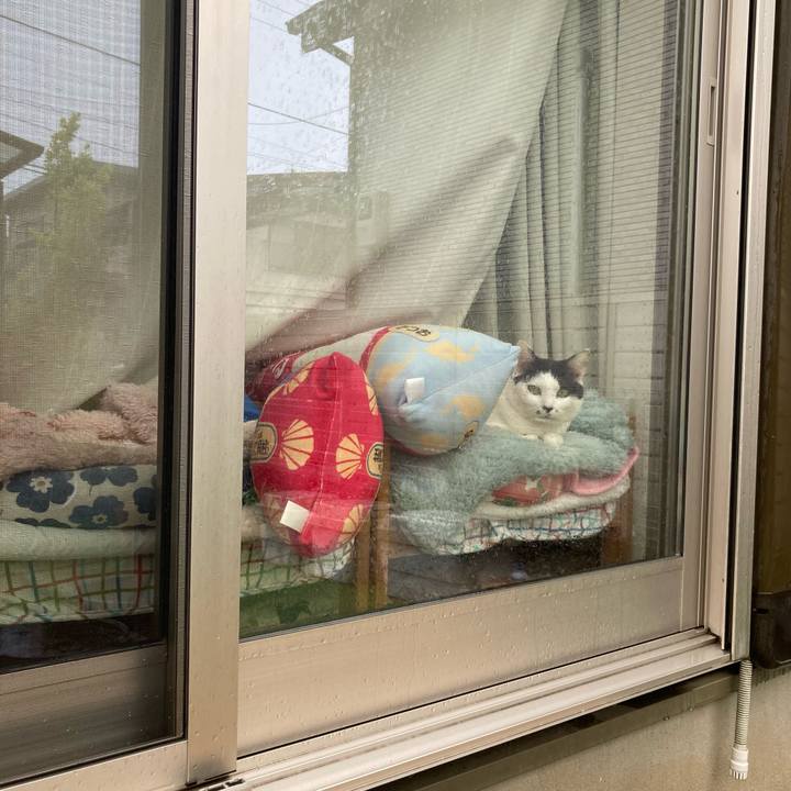 1e49aefb fdb1 4831 a579 46bf99f82ef0 1775085579201