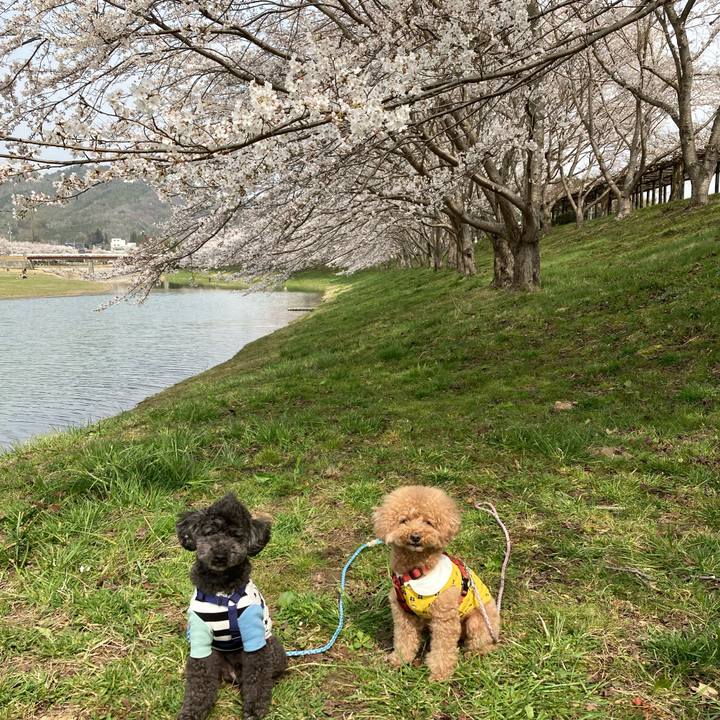 1e49bc2c 2d3b 4756 a13d e3e3b8a645be 1680406528988