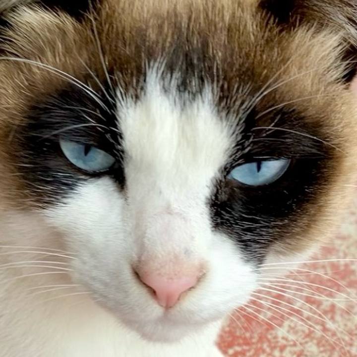 1e49bd65 6cbd 438b ae72 7543455948bb 1743129517091